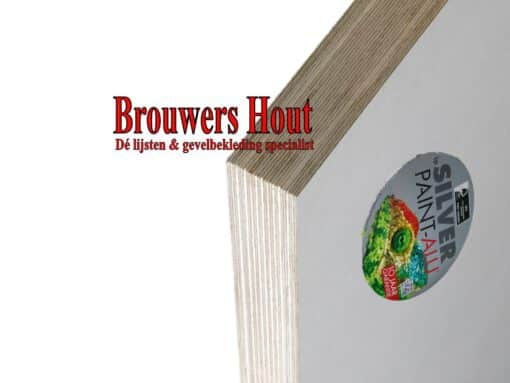 Silverpaint Alu Garant FSC deurplaat 40mm 950x2150mm 10 jaar garantie