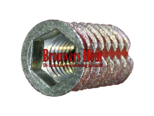 DTS indraaimoer M10x25mm