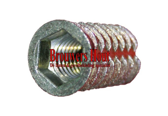 DTS indraaimoer M10x25mm