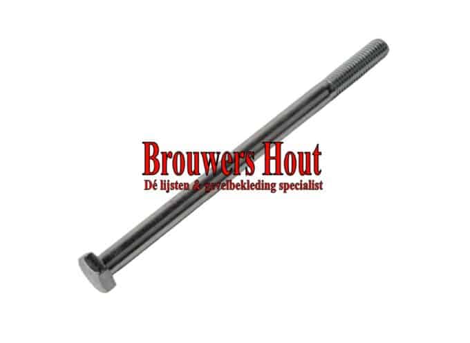 Zeskantbout M10 x 160 mm