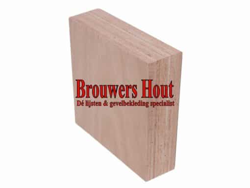 Alu Stabiel massieve deurplaat 40mm 1100x2350mm 10 jaar garantie